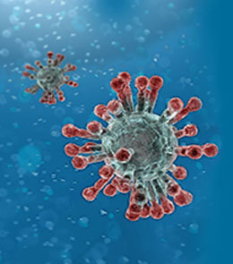 coronavirus.jpg